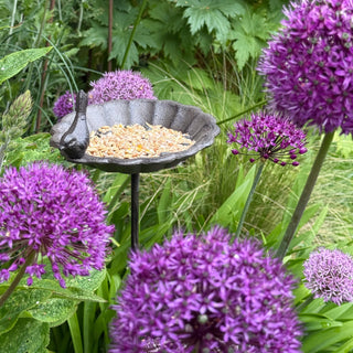 Cast Iron bird feeder in a flower boarder with purple flowers 