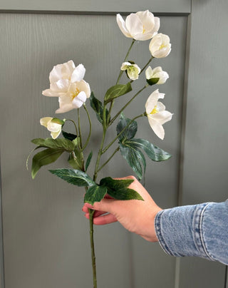 Hand holding a branch of white flowers against a gray background