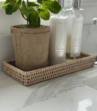 Potted plant on a woven tray with skincare products in the background