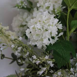 close up on white flowers 