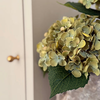 Close-up of a green flower arrangement against a neutral background