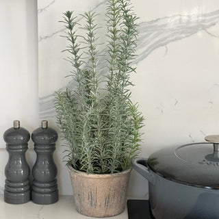 faux potted herb in kitchen next to salt and pepper mills 