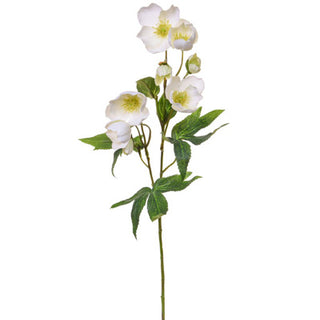 Artificial flower stem with white flowers on a white background