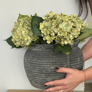 Person holding a gray textured vase with green hydrangeas against a white background