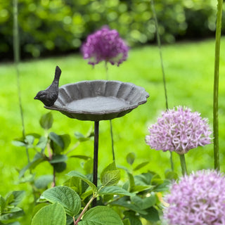 Small bird feeder on a stand surrounded by greenery and purple flowers
