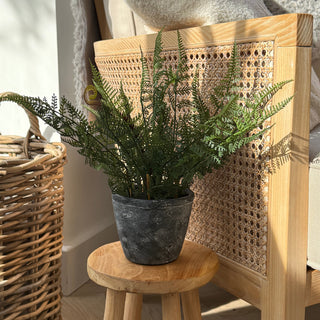 Dark green faux fern in stone black pot on a wooden school 