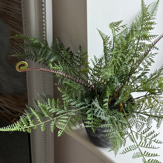 A potted artificial fern plant with lush green fronds and a curled yellow-brown fiddle leaf, displayed on a white windowsill next to a mirror.