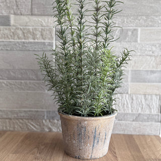 faux potted herb rosemary with tiled background on oak worktop 