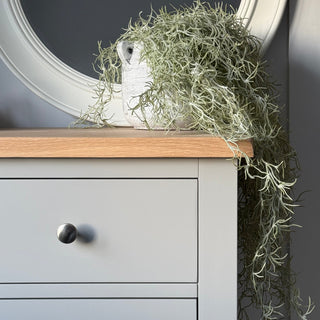 faux trailing moss in light grey pot on chest of draws