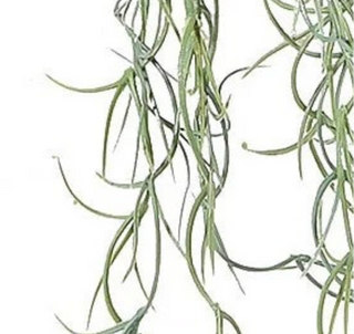 Faux Trailing Spanish Moss