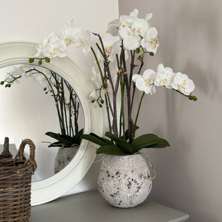 White orchids in a decorative pot on a gray surface with a mirror and basket in the background.