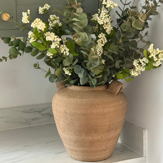 Potted plant with white flowers and green leaves in a terracotta pot on a shelf.