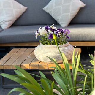 outdoor stone grey ribbed plant on patio with flowers