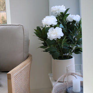 potted white peony on window sill next to chair 