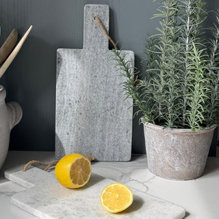 Gray stone cutting board with a plant and lemons on a kitchen counter