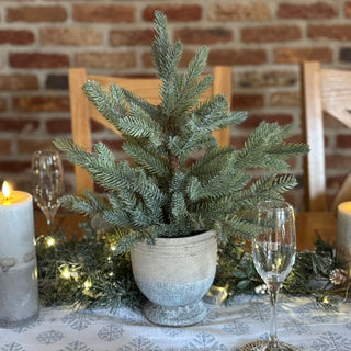 Decorative table setting with a small potted tree, candles, and glasses against a brick wall.