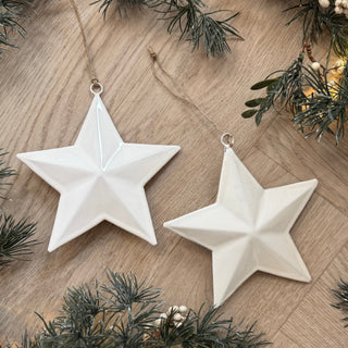 Two white star-shaped ornaments on a wooden surface with greenery.