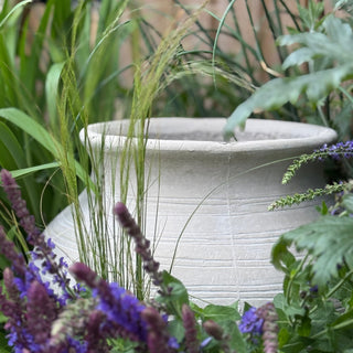 White ceramic planter surrounded by green plants and purple flowers