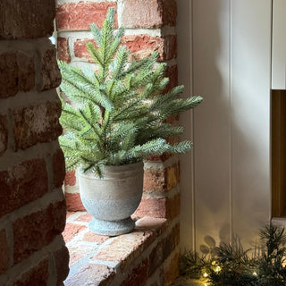 Potted Christmas tree on a brick wall with decorative lights on a counter.