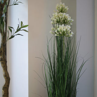 faux white agapanthus plant styled in wicker basked in home 